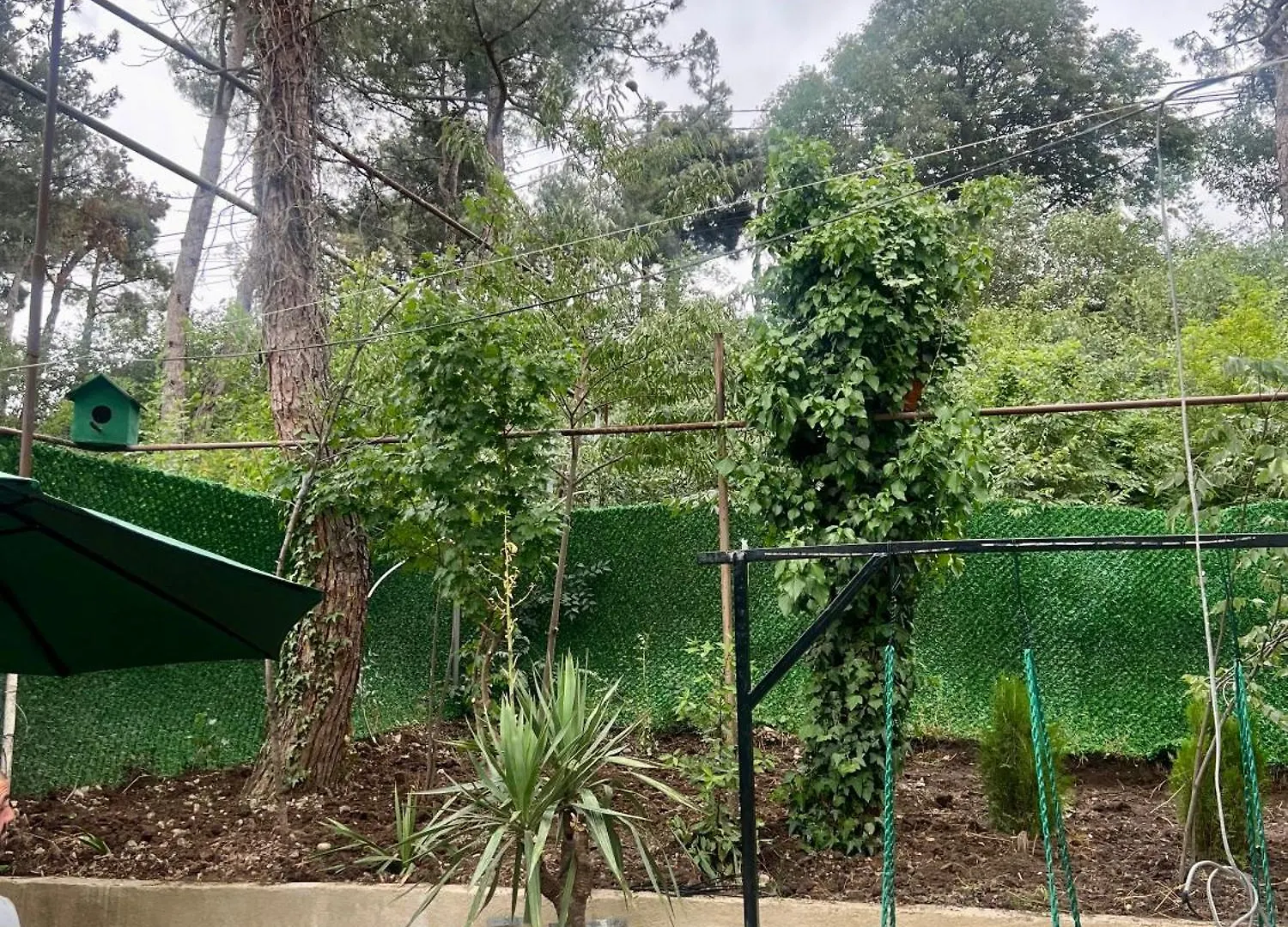 Villa House In Nature Tbilisi Georgien