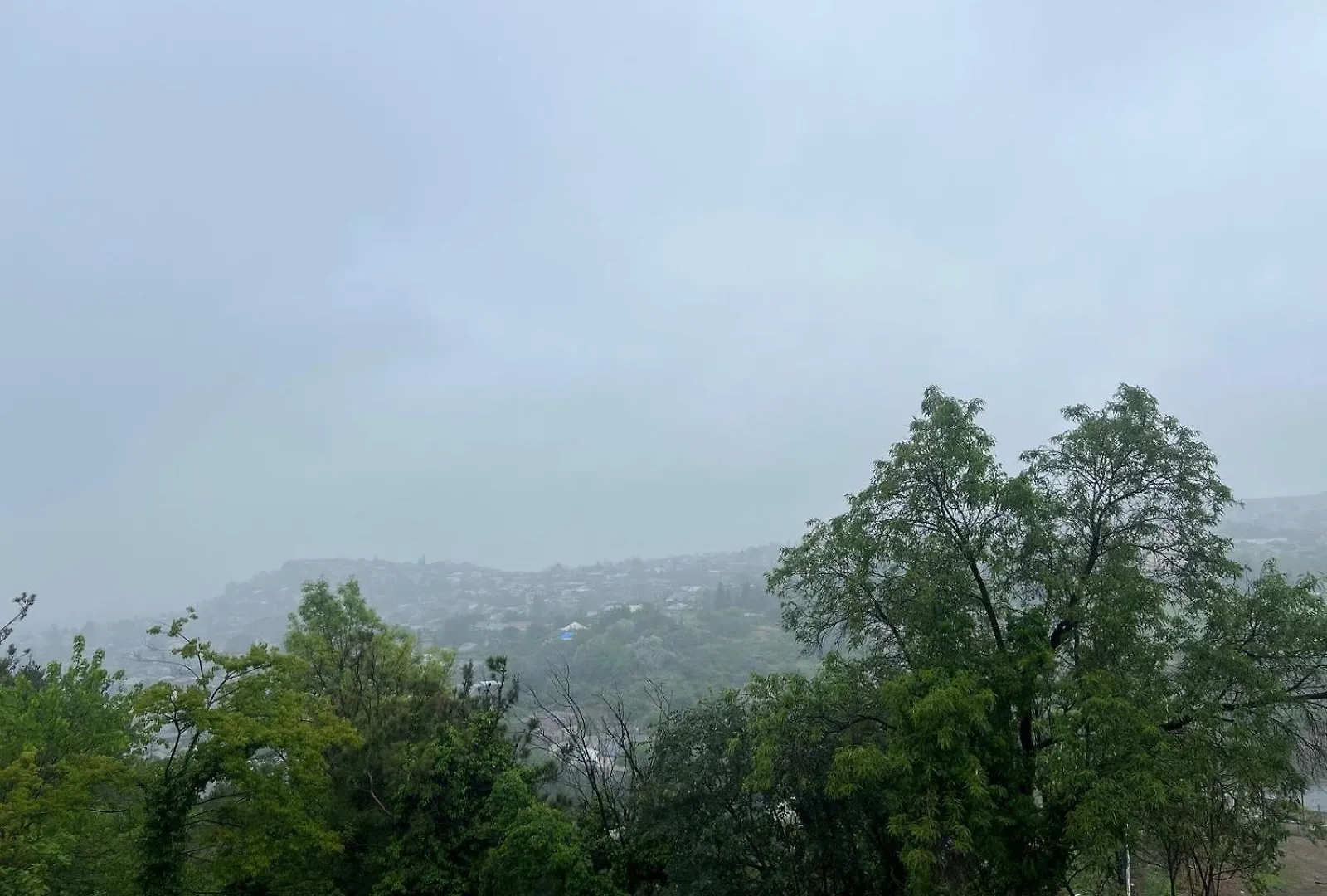 Villa House In Nature Tbilisi Georgien